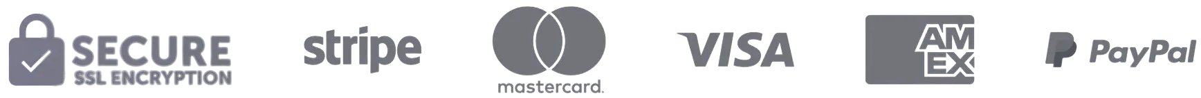 Accepted Payments